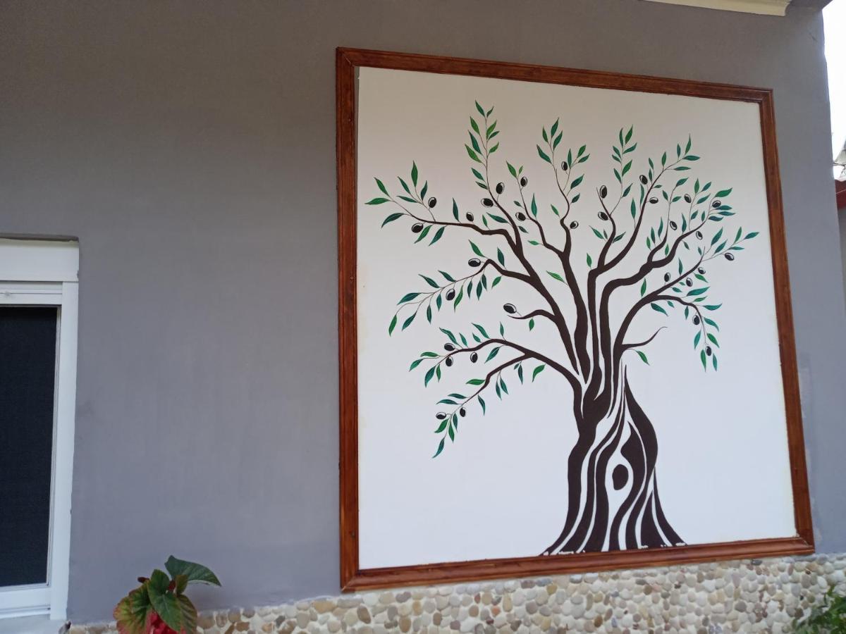 Olive Tree Villa Lygia  Luaran gambar